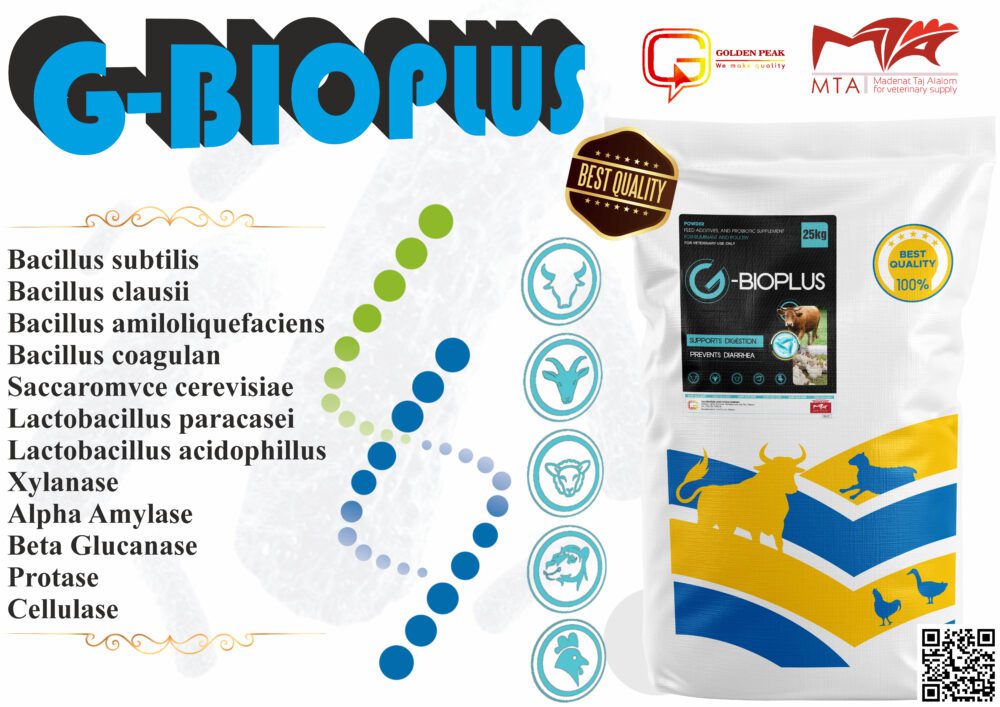 Shop Primary Image Shop Primary Image