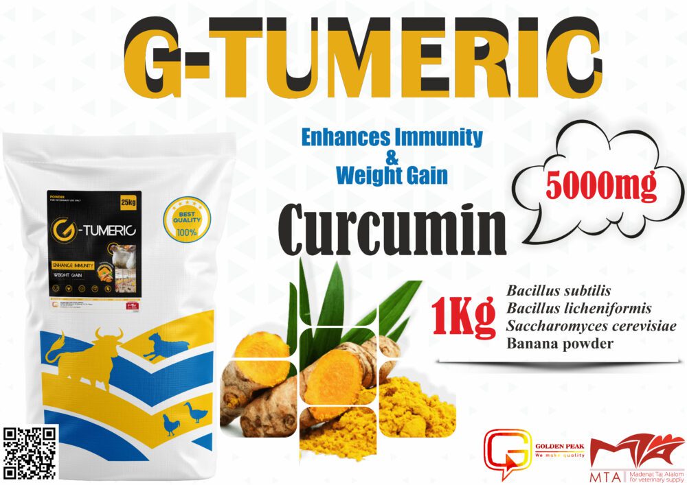 Shop Primary Image Shop Primary Image