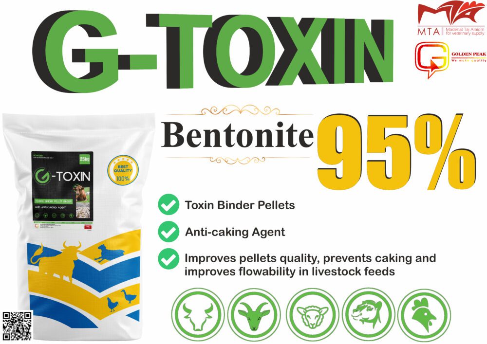 Shop Primary Image Shop Primary Image